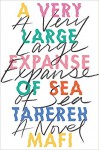 A Very Large Expanse of Sea - Tehereh Mafi