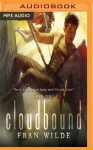 Cloudbound - Fran Wilde, Raviv Ullman