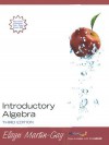 Introductory Algebra [With CDROM Lecture Series] - Elayn Martin-Gay