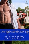 One Night with the Bad Boy (Whiskey River Book 4) - Eve Gaddy