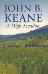 A High Meadow - John Brendan Keane