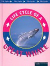 Great Whale - Jason Cooper