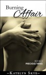 Burning Affair Book 2 'Precious Thing' (Submissive Romance) - Katelyn Skye