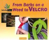 From Barbs on a Weed to Velcro (Imitating Nature) - Toney Allman