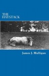 The Haystack: A Novel - James J. Mulligan