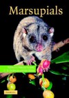 Marsupials - Patricia J. Armati, Chris R. Dickman