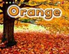 Orange - Rebecca Rissman