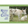 Know Your Cattle (Know Your...) - Jack Byard