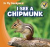 I See a Chipmunk - Alex Appleby