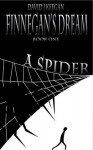 A Spider (Finnegan's Dream) - David Keegan