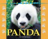 Panda Bear (Wild Bears) - Melissa S. Cole, Pat Leeson, Jody H. Stone, Jason Stone