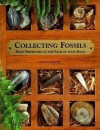 The Fossil Collection Kit: Hold Prehistory In The Palm Of Your Hand - Steve Parker