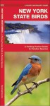 New York State Birds: A Folding Pocket Guide to Familiar Species - James Kavanagh, Raymond Leung