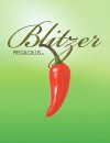 Precalculus Plus MyMathLab Student Access Kit (4th Edition) - Robert F. Blitzer