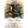 On Rare Birds - Anita Albus, Gerald Chapple