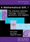 A Mathematical Gift, I: The Interplay Between Topology, Functions, Geometry, and Algebra - Kenji Ueno