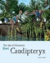 Meet Caudipteryx - Dean Miller