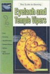 The Guide to Owning Eyelash and Temple Vipers - Ray Hunziker