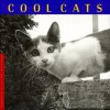 Cool Cats - J. C. Suar'Es, Katrina Fried