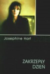 Zakrzepły dzień - Josephine Hart