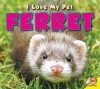 Ferret - Aaron Carr