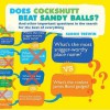 Does Cockshutt Beat Sandy Balls?: And Other Important Questions In The Search For The Best Of Everything - Simon Trewin