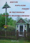 Krzyże, kapliczki, figury w przyrodzie powiatu biłgorajskiego - Dorota Skakuj, Tomasz Bordzań