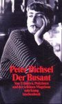 Der Busant. Von Trinkern, Polizisten und der schönen Magelone. - Peter Bichsel