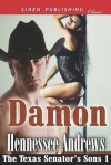 Damon (The Texas Senator's Sons, #1) - Hennessee Andrews