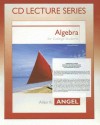 Algebra for College Students - Allen R. Angel