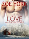 Love in a Snow Storm - Zoe York