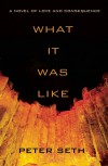 What It Was Like - Peter Seth