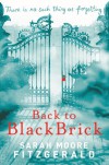 Back to Blackbrick - Sarah Moore Fitzgerald
