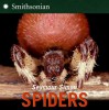 Spiders - Seymour Simon