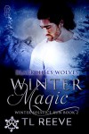 Winter Magic: Winter Solstice Run (Black Hills Wolves Book 32) - T.L. Reeve