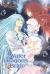 The Water Dragon’s Bride, Vol. 3 - Rei Toma