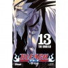 Bleach, Tome 13: The Undead - Tite Kubo