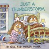 Just a Thunderstorm (Look-Look) - Gina Mayer, Mercer Mayer
