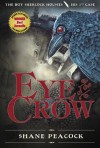 Eye of the Crow  - Shane Peacock