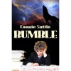 Bumble (Legend of the Ir'Indicti #1) - Connie Suttle