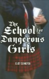 The School For Dangerous Girls - Eliot Schrefer