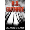 Black Beast: A Clan of MacAulay Novel - R.S. Guthrie