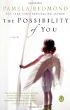 The Possibility of You - Pamela Redmond Satran