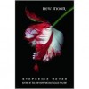 New Moon Extra - Being Jacob Black - Stephenie Meyer