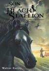 Son of the Black Stallion - Walter Farley