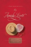 An Amish Love: Healing Hearts/What the Heart Sees/A Marriage of the Heart (Inspirational Amish Anthology - Beth Wiseman, Kathleen Fuller, Kelly Long