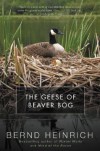 The Geese of Beaver Bog - Bernd Heinrich