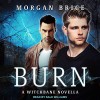 Burn (Witchbane #1.5) - Kale Williams, Morgan Brice