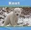 Knut: How One Little Polar Bear Captivated The World - Juliana Hatkoff, Isabella Hatkoff, Craig Hatkoff