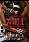 Sinful Seduction (Sins Secrets & Scandals Series) - Sabrina Sims McAfee